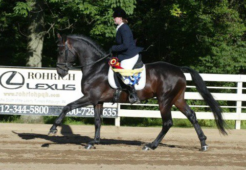 Landonn Canter